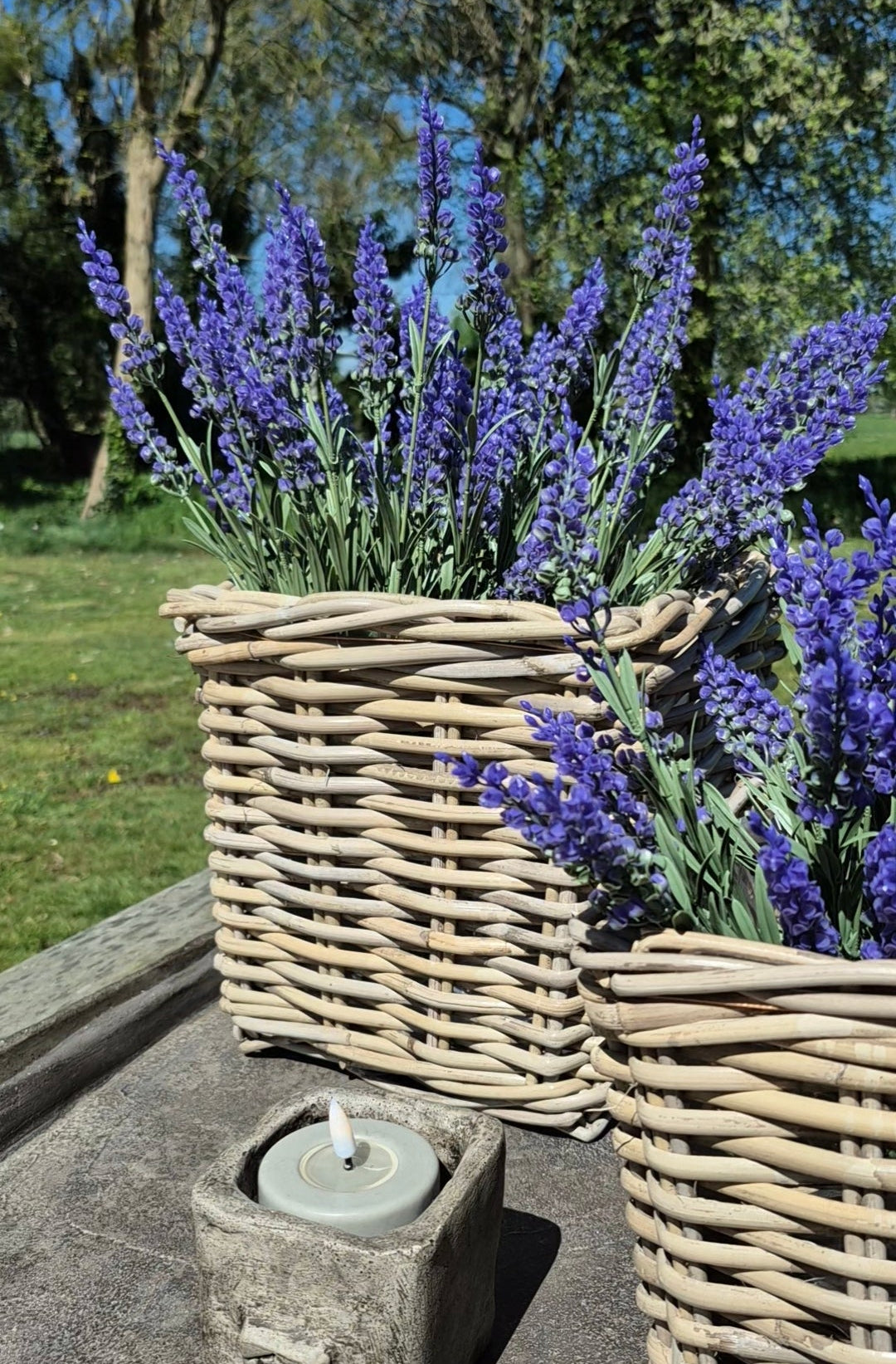 Set vierkante mand D27  H25cm met paarse lavendel