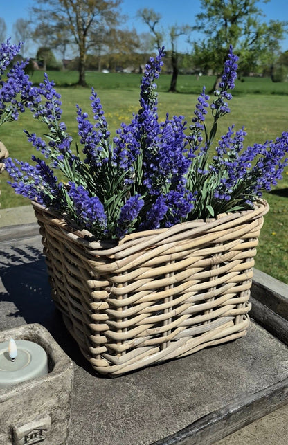 Set vierkante mand D24  H19cm met paarse lavendel