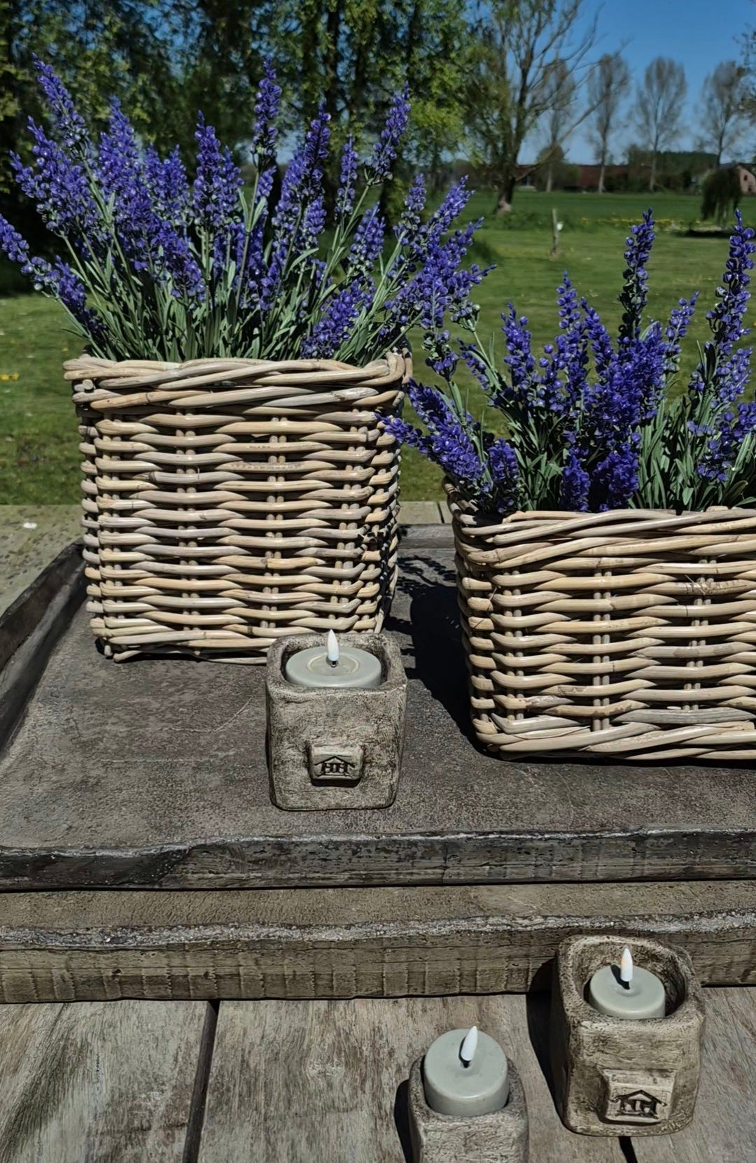 Set vierkante mand D27  H25cm met paarse lavendel