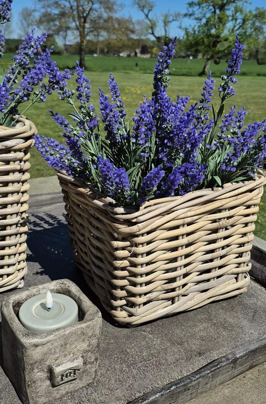 Set vierkante mand D24  H19cm met paarse lavendel