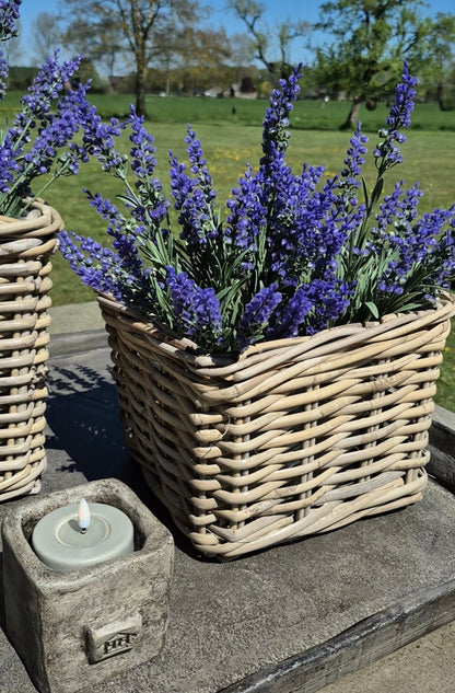 Set vierkante mand D24  H19cm met paarse lavendel