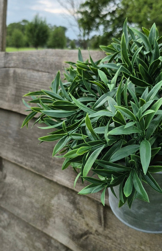 Ruscus kunstplant UV 35 cm