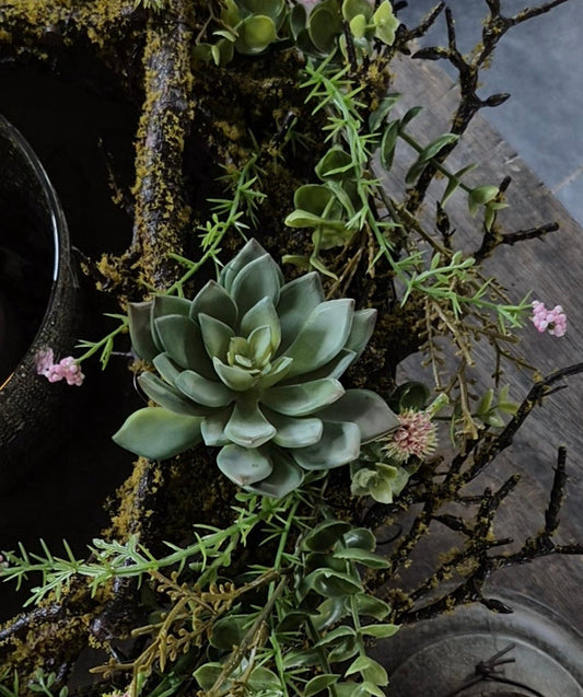 Artificial succulent echeveria green