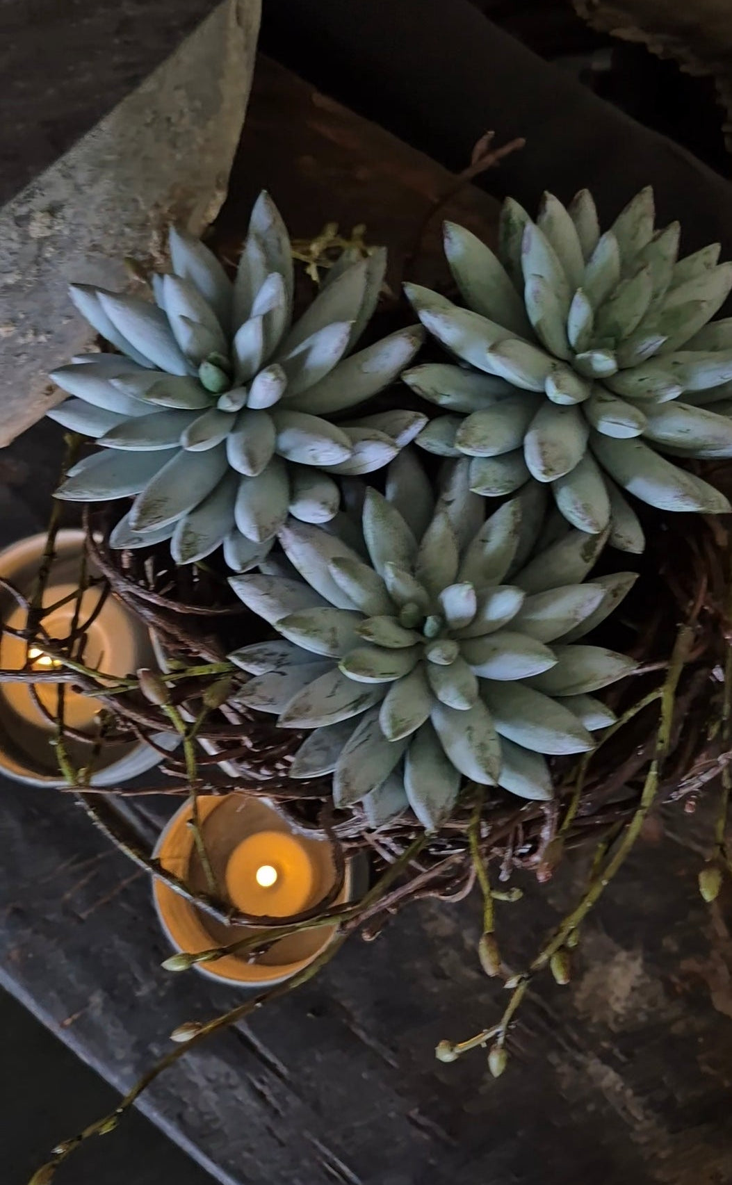 Kunst-Sukkulente Sedum Grün-Grau