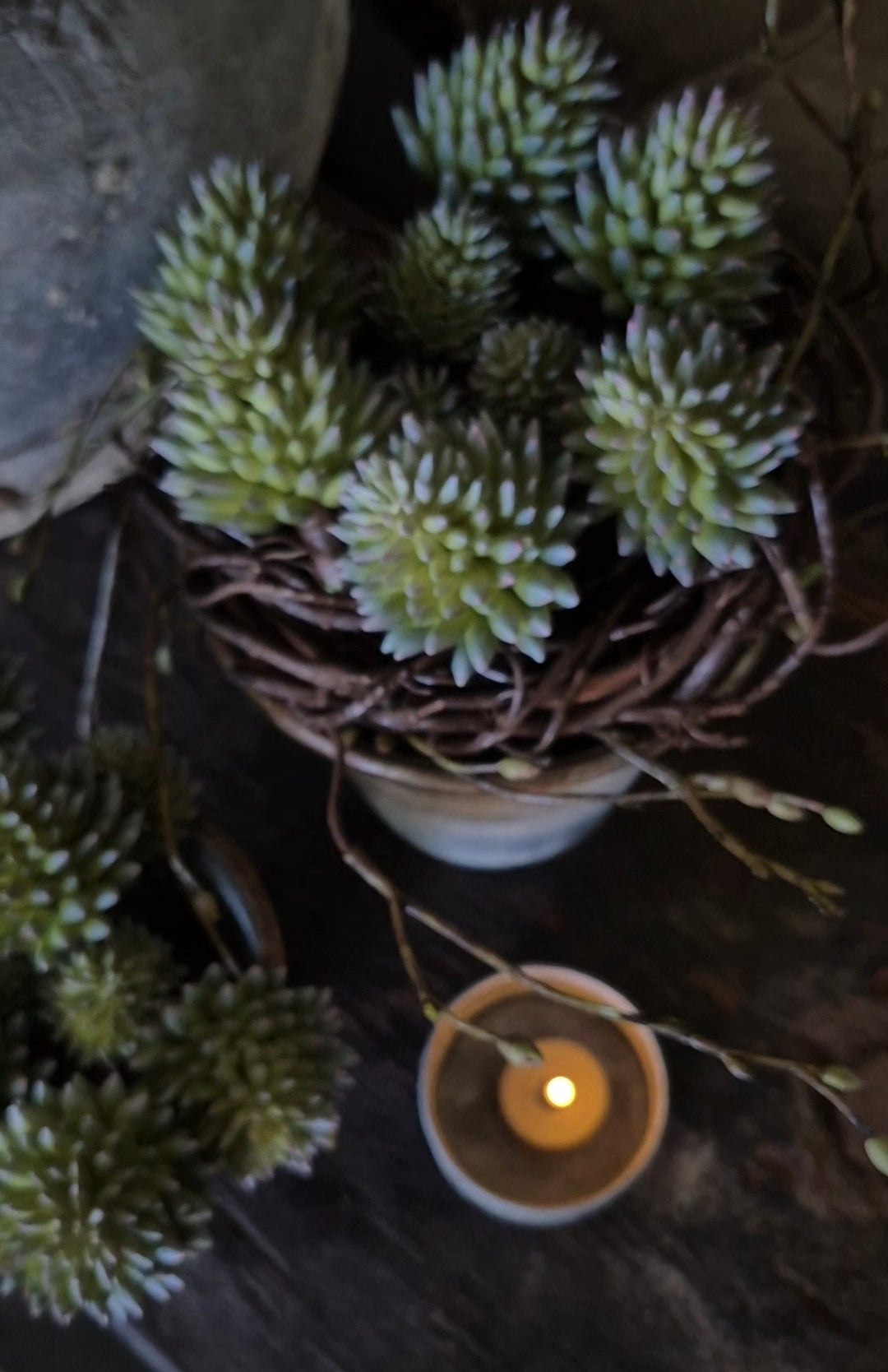 Kunst-Sukkulente Sedum Grün UV
