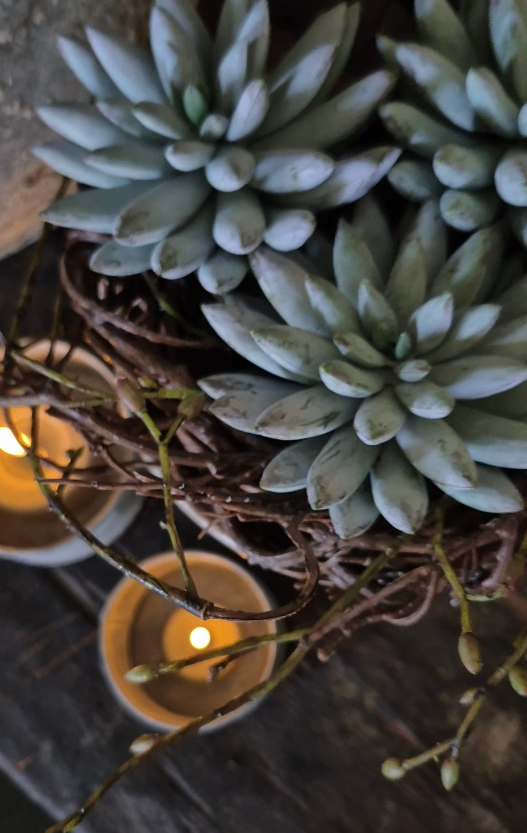 Kunst-Sukkulente Sedum Grün-Grau