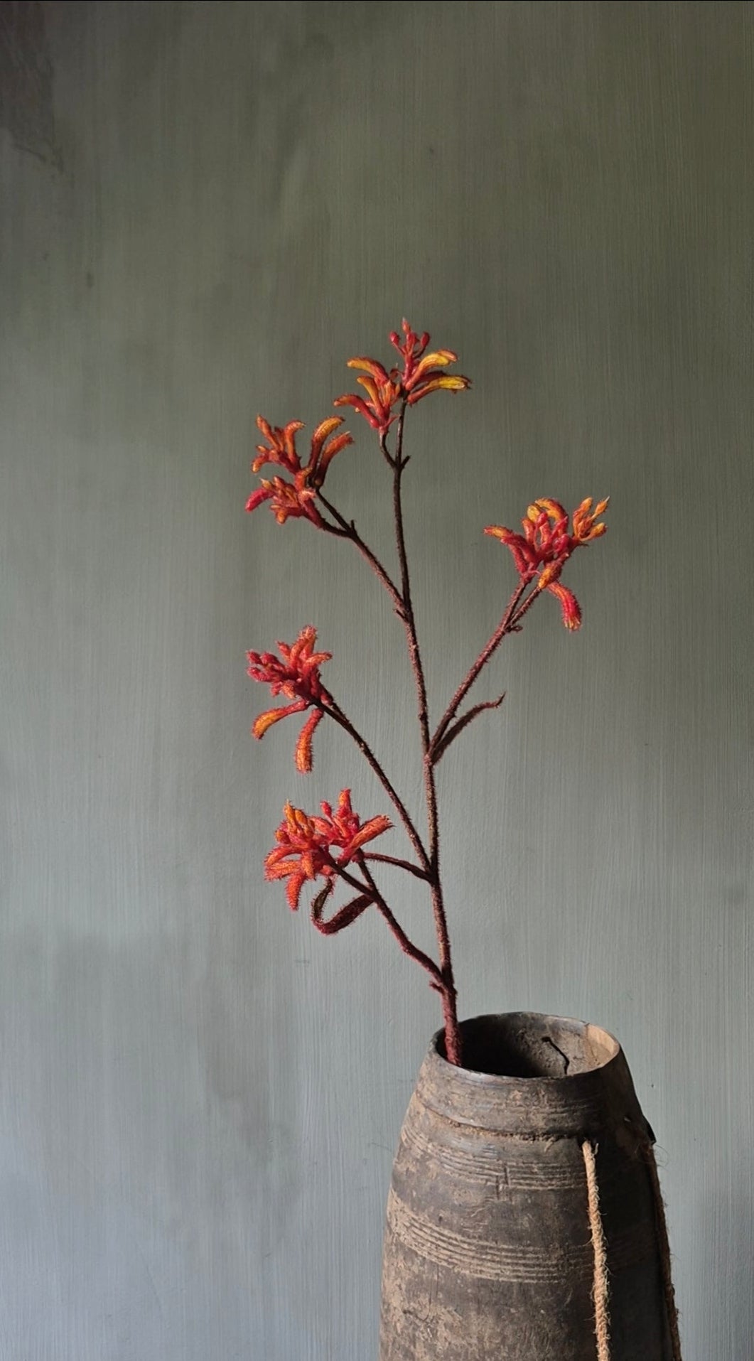 Kangoeroepoot kunstbloem oranje - 76cm