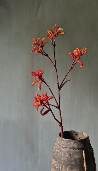 Kangoeroepoot kunstbloem oranje - 76cm