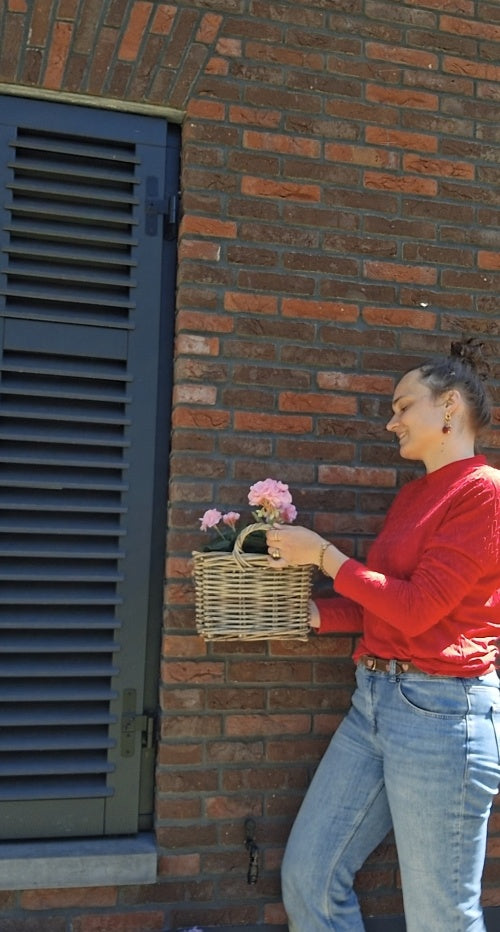 Rotan hangmand hengsel naturel voor muur of tafel