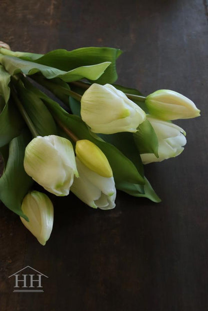 Witte kunst tulpen | Hillary'sHome