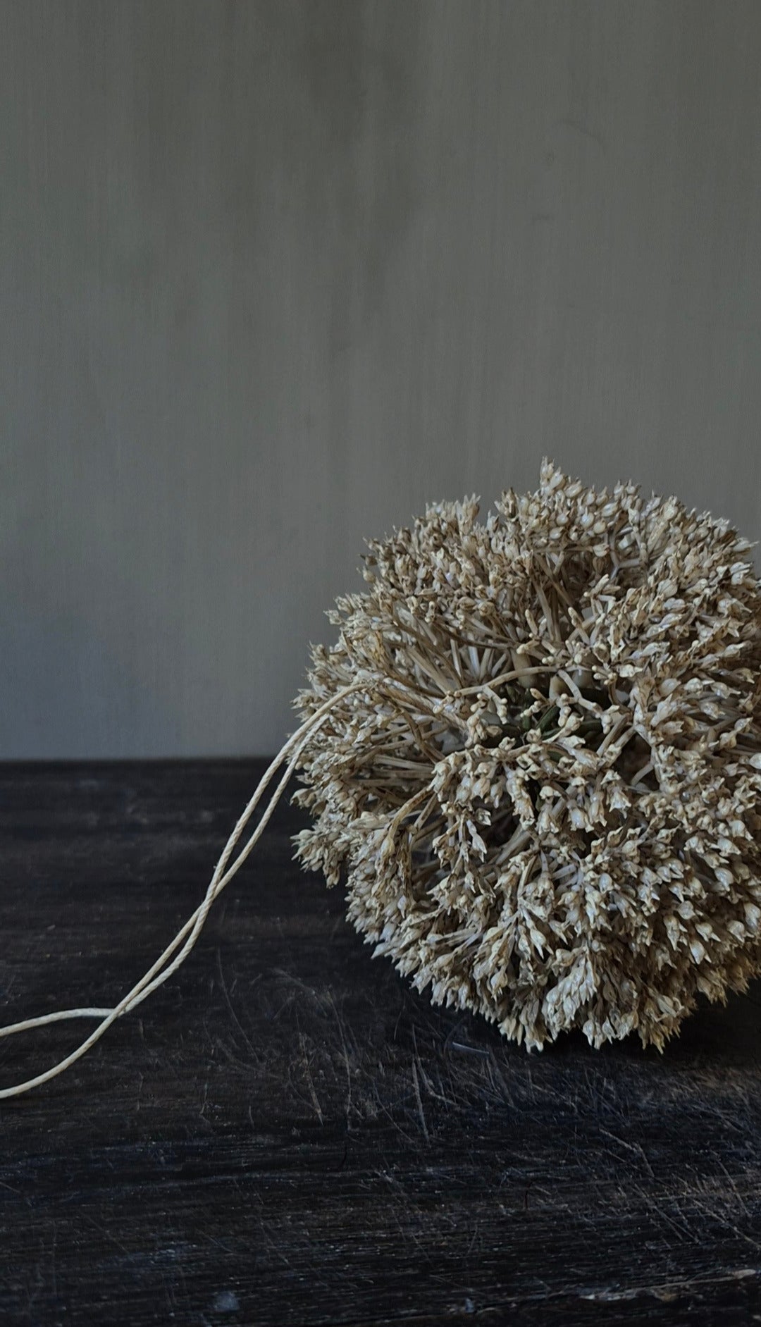Artificial eupatorium ball cream 11 cm