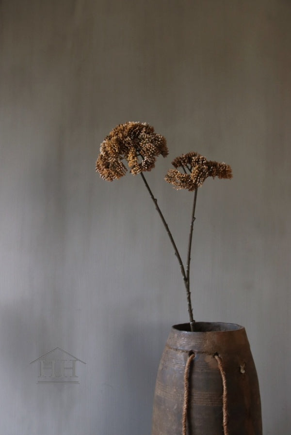 Kunstbloem Anethum bruin - 70cm