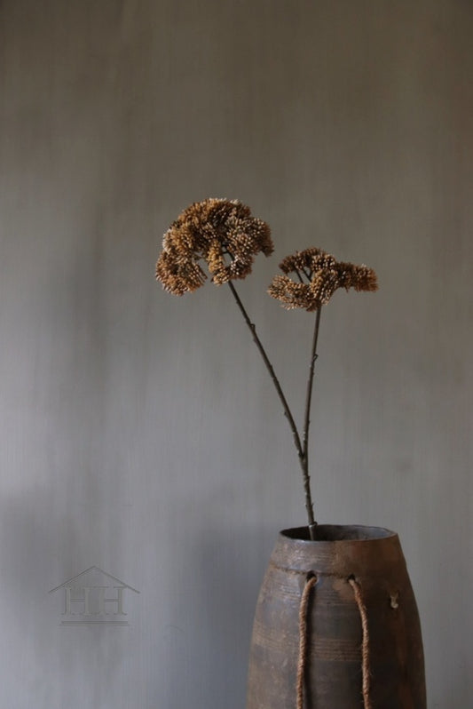 Kunstbloem Anethum bruin - 70cm