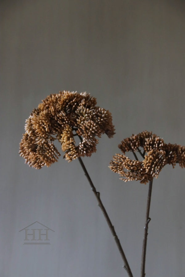 Kunstbloem Anethum bruin - 70cm