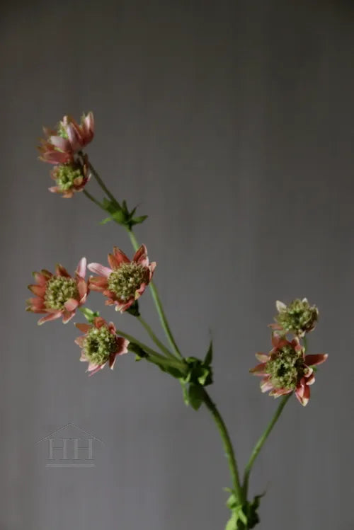 Kunst astrantia roze 58cm