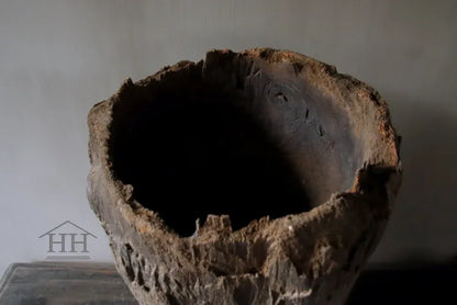 Vergrijsde vijzel / Aziatisch uniek (nr 6)