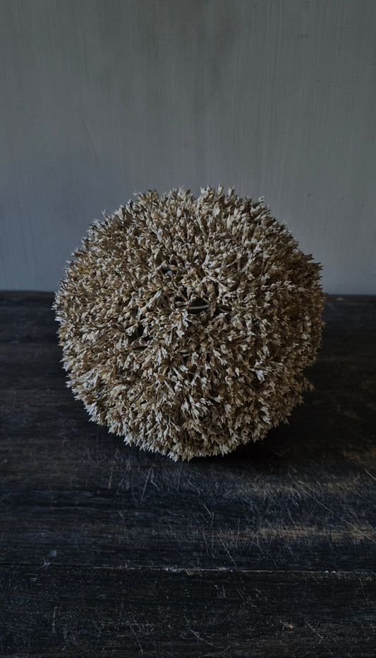 Kunstbol eupatorium creme 15 cm