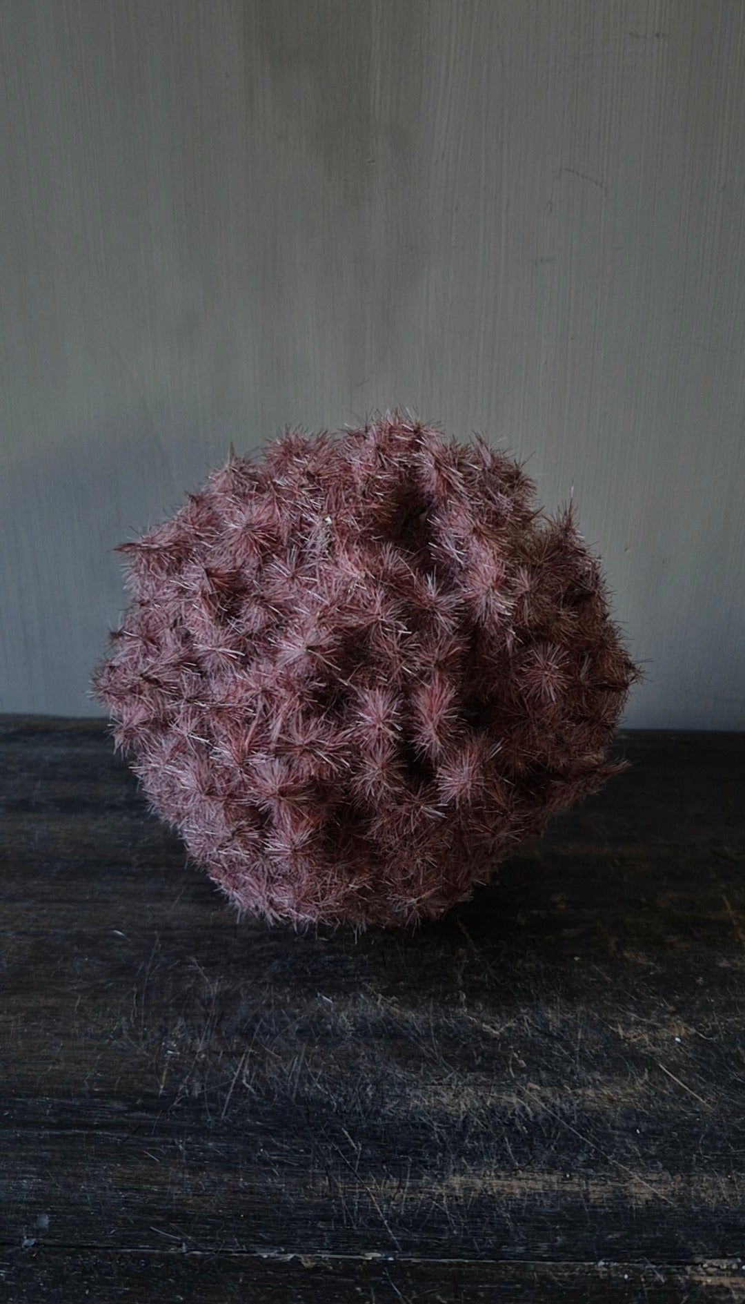 Kunstbol taraxacum roze 16 cm