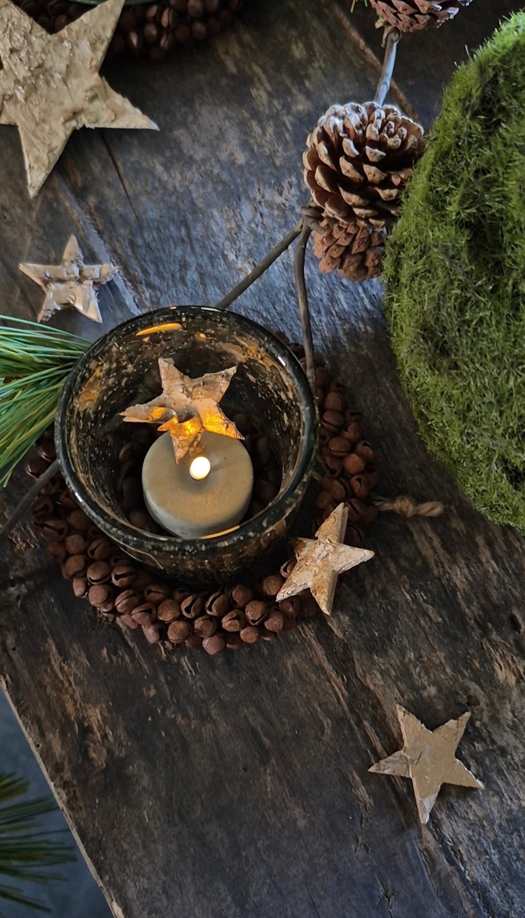 Berkensterretjes naturel met gouden gloed 9 cm – ca. 15 stuks