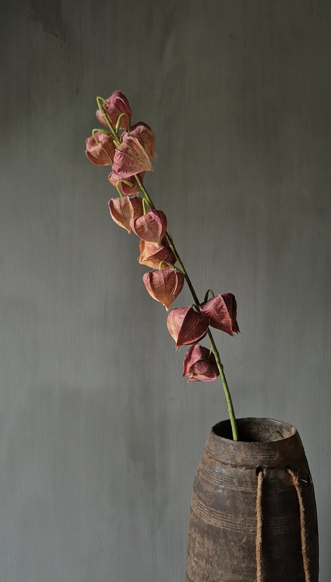 Physalis Kunstblume mauve - 80 cm
