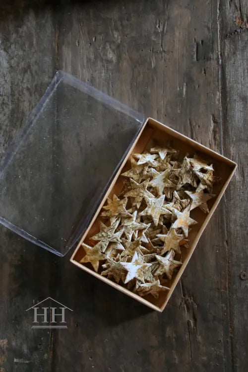 berkensterretjes 60-70 stuks bruin