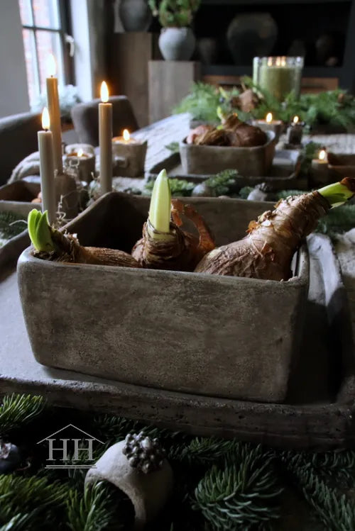 Betonnen bak vierkant XL eigen label Hillary'sHome