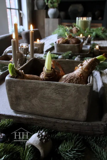 Betonnen bak vierkant XL eigen label Hillary'sHome