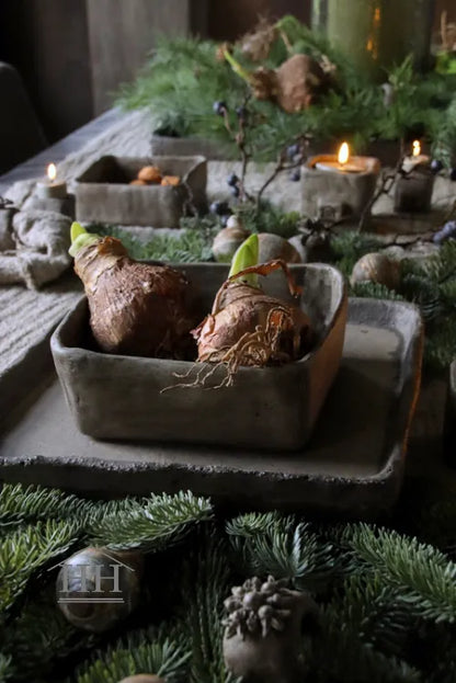 Betonnen bak vierkant L eigen label Hillary'sHome