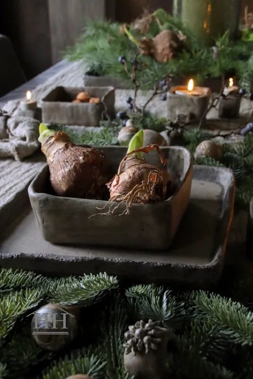 Betonnen bak vierkant L eigen label Hillary'sHome