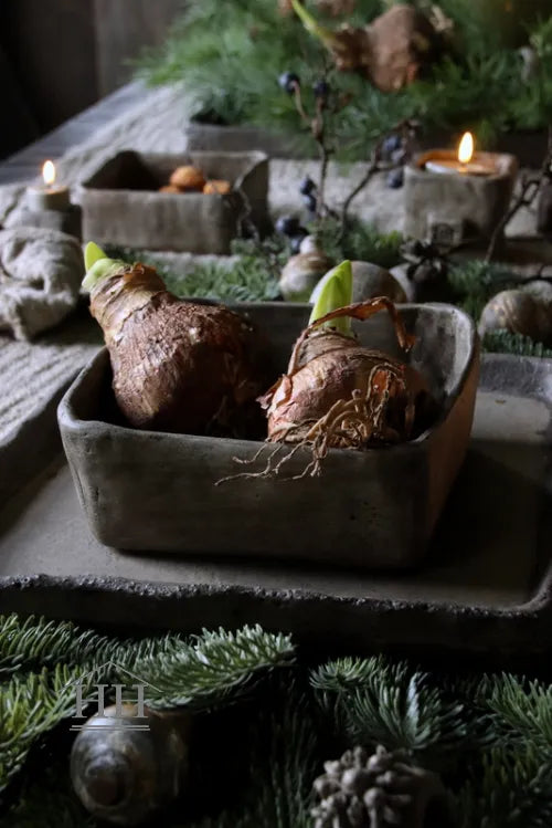 Betonnen bak vierkant L eigen label Hillary'sHome