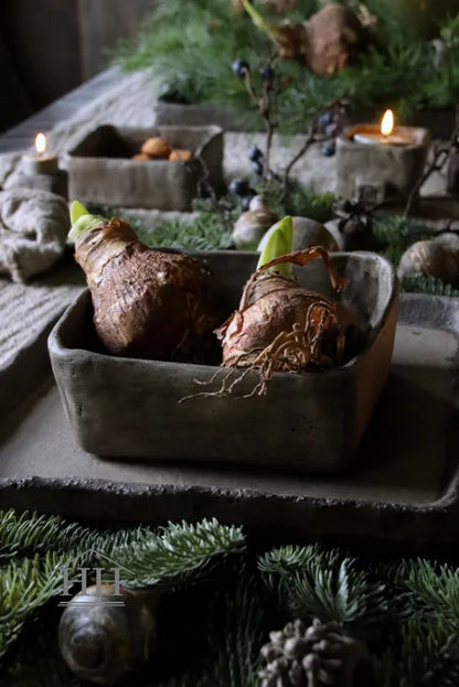 Betonnen bak vierkant L eigen label Hillary'sHome