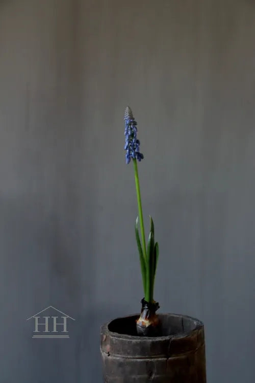 Künstliche blaue Traubenhyazinthe auf einer Kugel, 33 cm