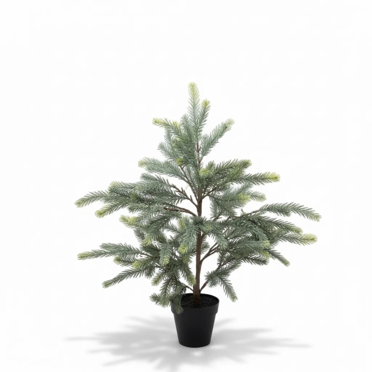 Blaufichten-Weihnachtsbaum im Innentopf Real Touch - 70 cm