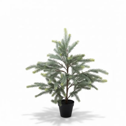 Blaufichten-Weihnachtsbaum im Innentopf Real Touch - 70 cm