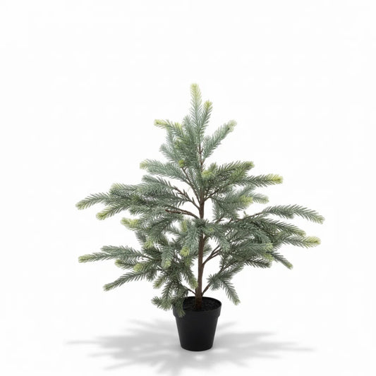 Blaufichten-Weihnachtsbaum im Innentopf Real Touch - 70 cm
