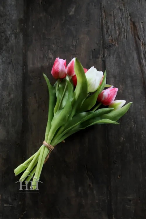 Tulpen bundel mix roze-gevlamd-wit - 30cm