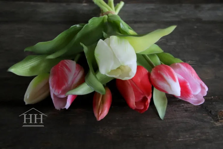 Tulpen bundel mix roze-gevlamd-wit - 30cm