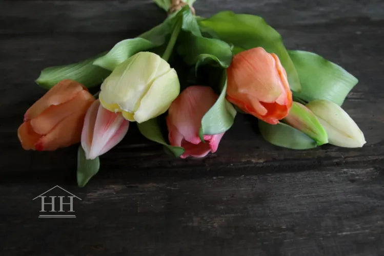 Tulpen bundel mix zalm-roze-wit - 30cm