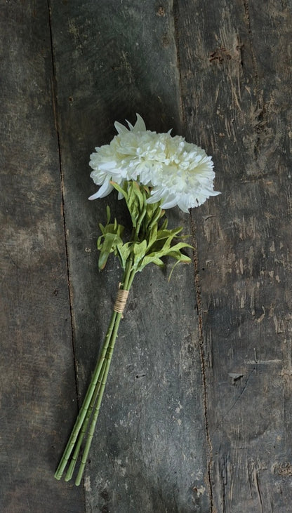 Calendula boeket wit 49 cm - 5 stelen