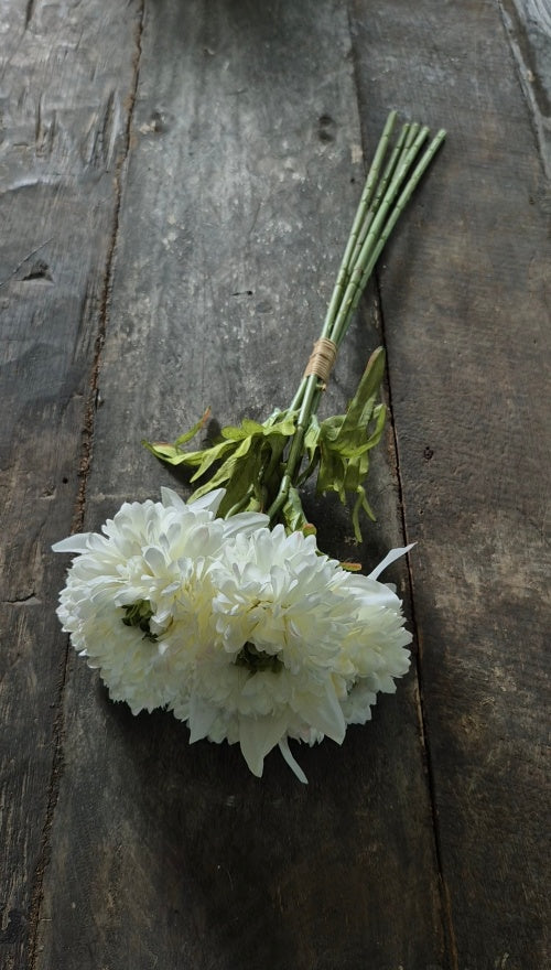 Calendula boeket wit 49 cm - 5 stelen