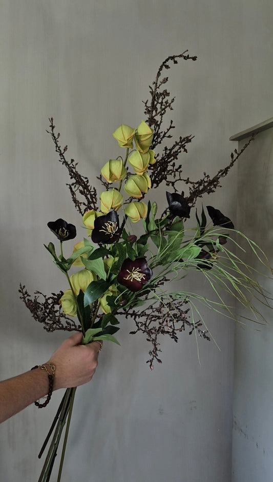 Hillary’s kunsttakken set helleborus