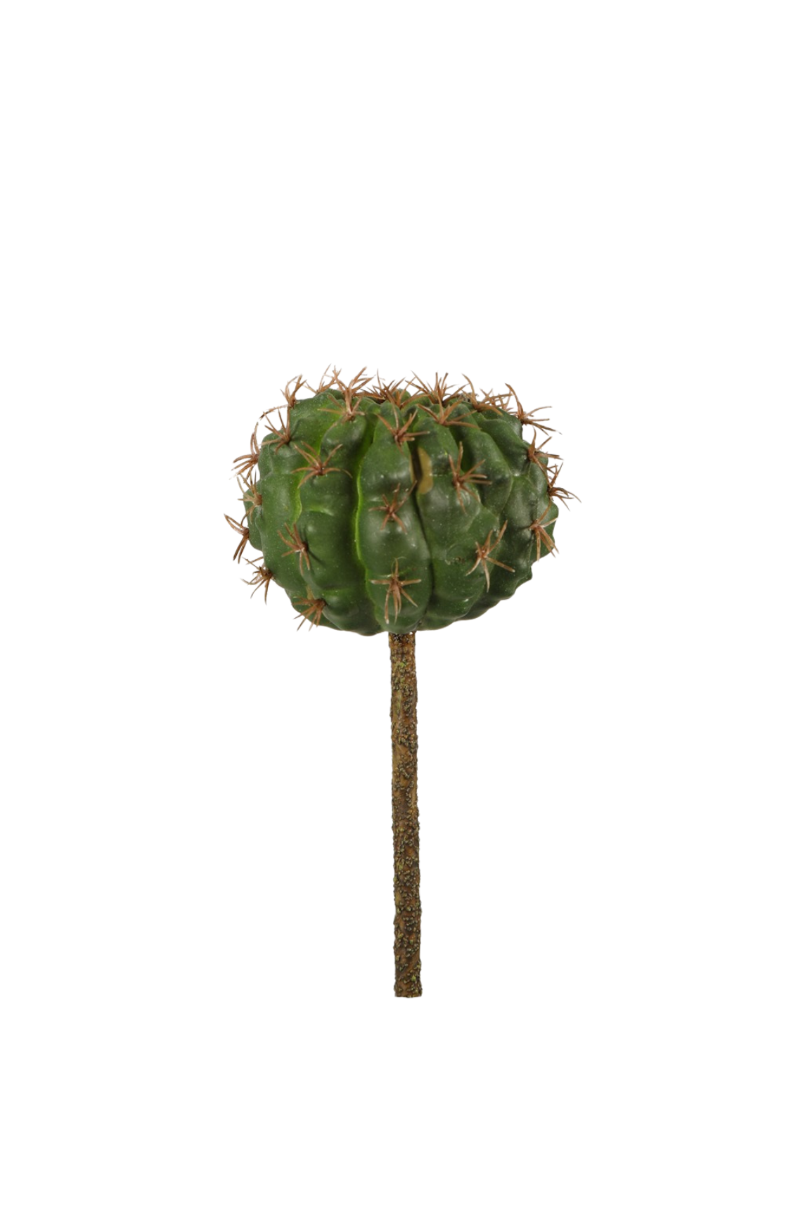 Kunstplant cactus groen 7 cm