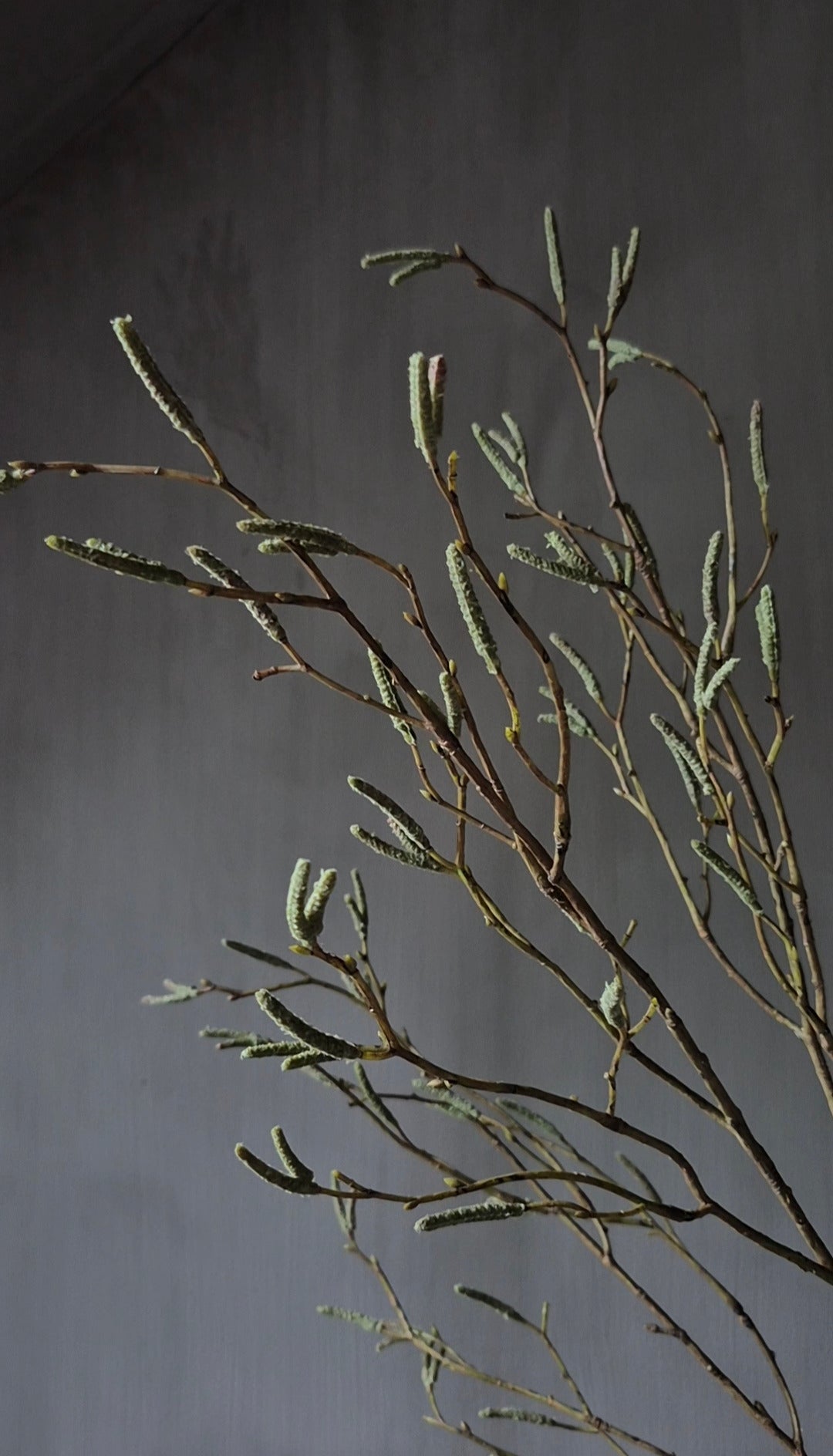 Kunst berkentak groen 100 cm
