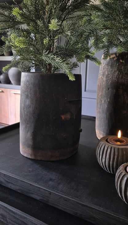 Blaufichten-Weihnachtsbaum im Innentopf Real Touch - 70 cm