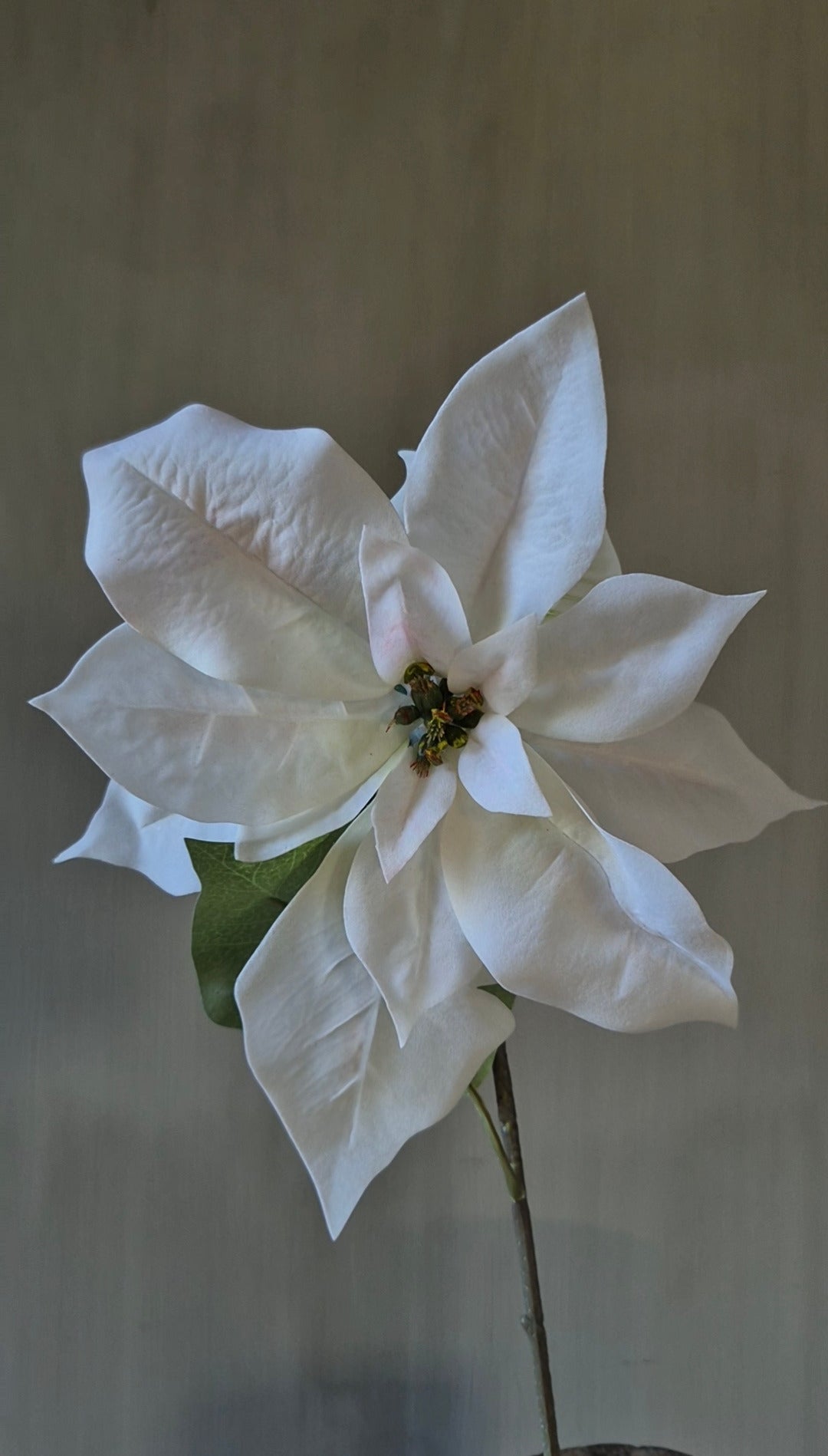 Kerstster kunstbloem wit creme real touch 58 cm