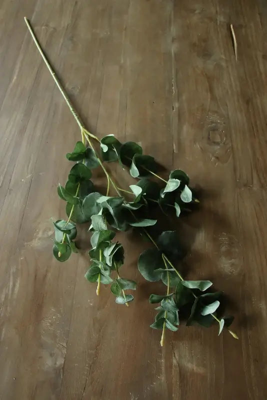 Decoratietak eucalyptus groen