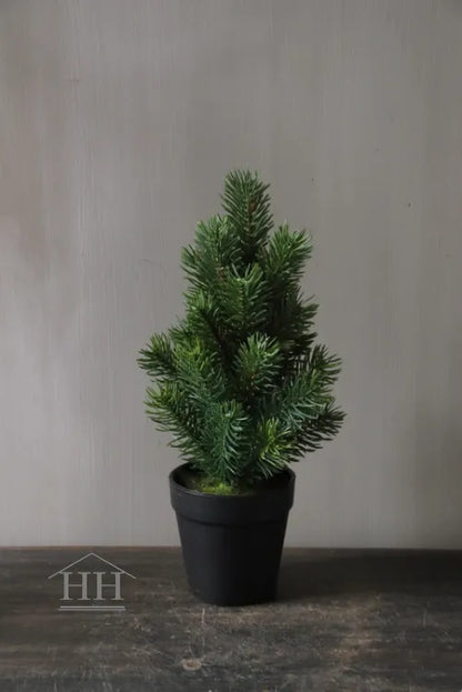 Pine tree in pot 32 cm