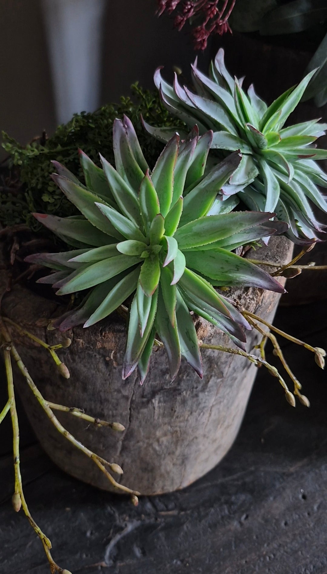 Kunst vetplant aeonium groen bruin - 13 cm