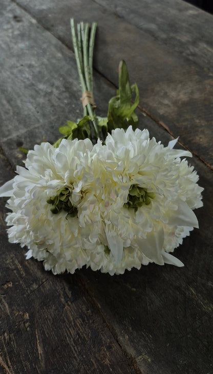 Calendula boeket wit 49 cm - 5 stelen