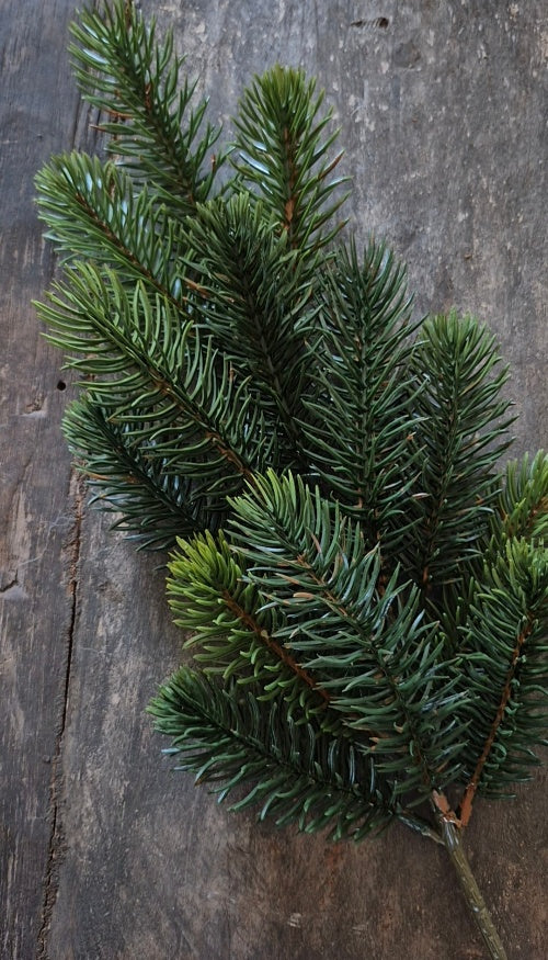 Artificial Pine Branch - 50 cm